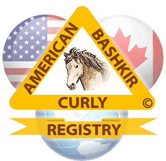 American Bashkir Curly Horse Registry