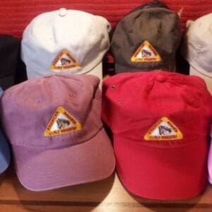 Colorful caps with triangle logo