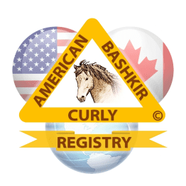 International horse registry badge
