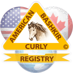 American Bashkir Curly Registry logo with horse
